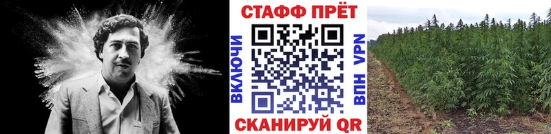 Наркошоп купить Кокаин  Мефедрон  Марихуана  Мензелинск
